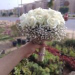 جرب عروسة طبيعي ابيض
