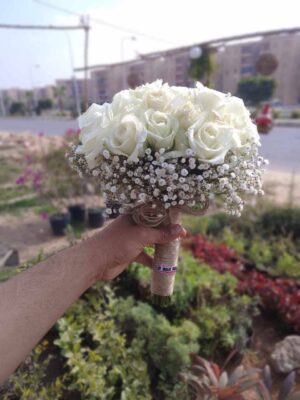 جرب عروسة طبيعي ابيض