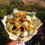 صن فلاور وورد بلدي
